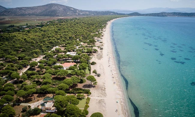 Μεγάλος κίνδυνος στον Σχινιά – Συναγερμός για το φαινόμενο που παρατηρείται στη θάλασσα